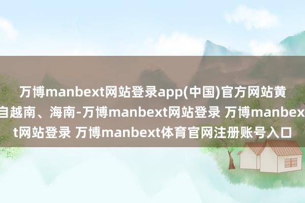 万博manbext网站登录app(中国)官方网站黄生的档口的芒果主要产自越南、海南-万博manbext网站登录 万博manbext体育官网注册账号入口
